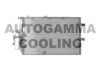 AUTOGAMMA 102739 Condenser, air conditioning